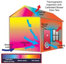 thermographic scan