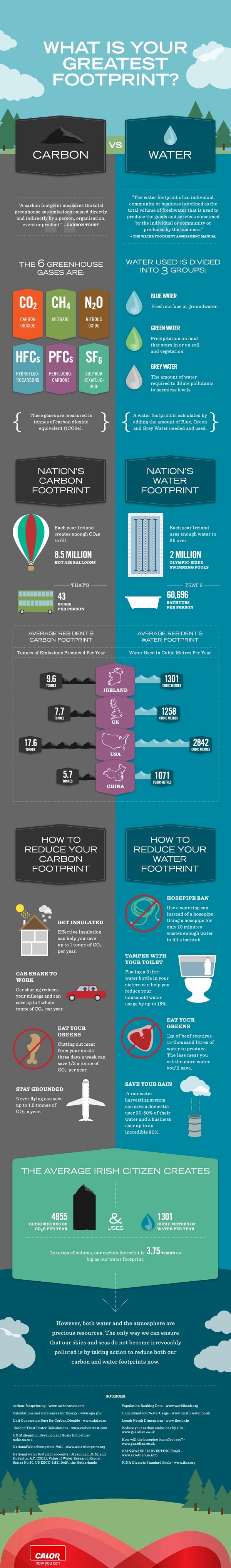 Carbon Footprint Infographic