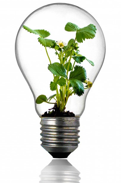 Reduce Carbon Footprint