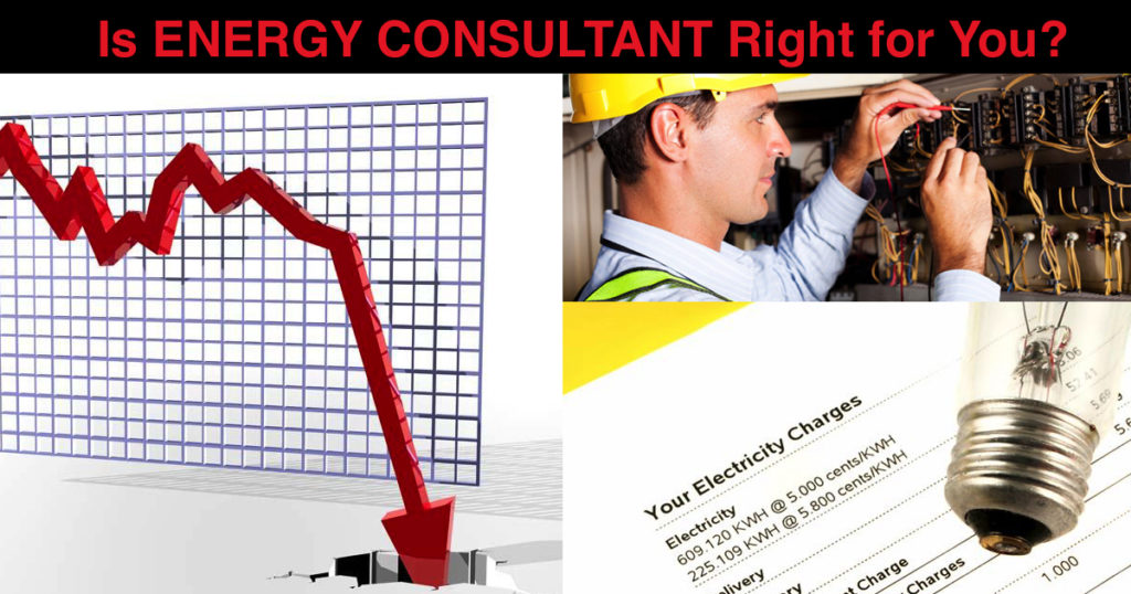 energy auditor consultant