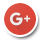 Google Page Icon